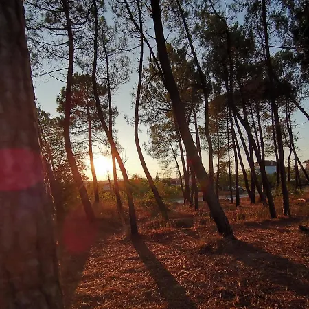 Sunset House 度假居 *