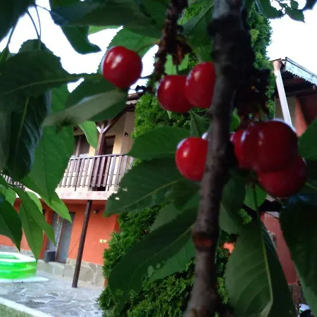 Nyaraló Sunset House