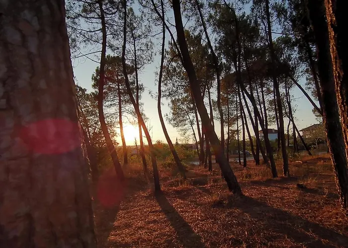 Sunset House Holiday home *