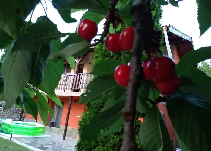 Nyaraló Sunset House